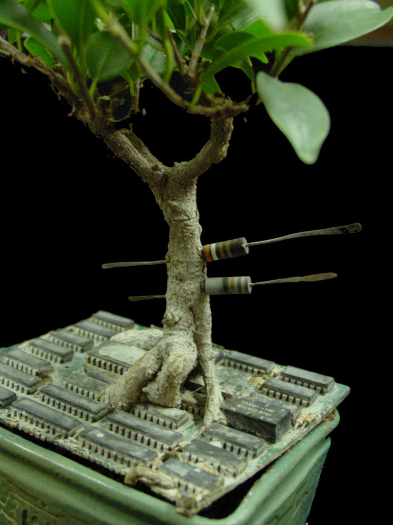 Circuit Board Bonsai