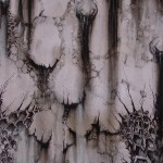 metamorph6